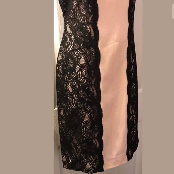 BOSTON PROPER Lace Pink Nude Black Shift Dress Cocktail Wedding - Picture 4 of 10